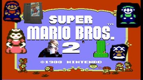 Super Mario Bros 2 (USA)