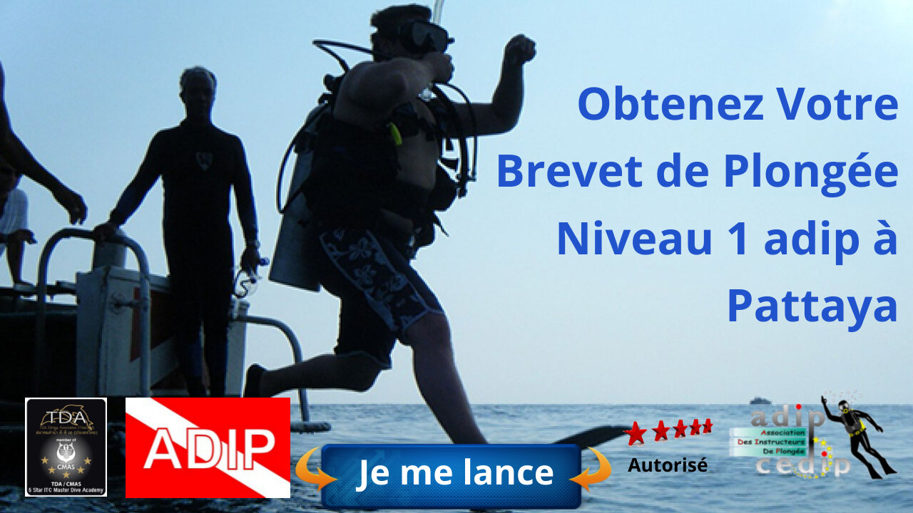 Obtenez Votre Brevet de Plongée de Niveau 1 à Pattaya