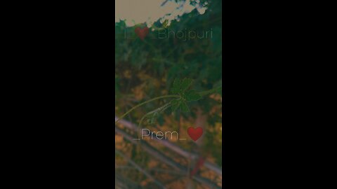 heat_beat song remix song on bhojpuri