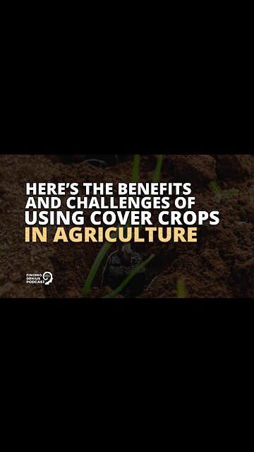 Here’s the Benefits and Challenges of Using Cover Crops in Agriculture
