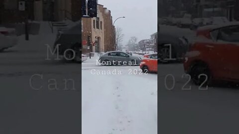 First Snowfall, International Student in Canada