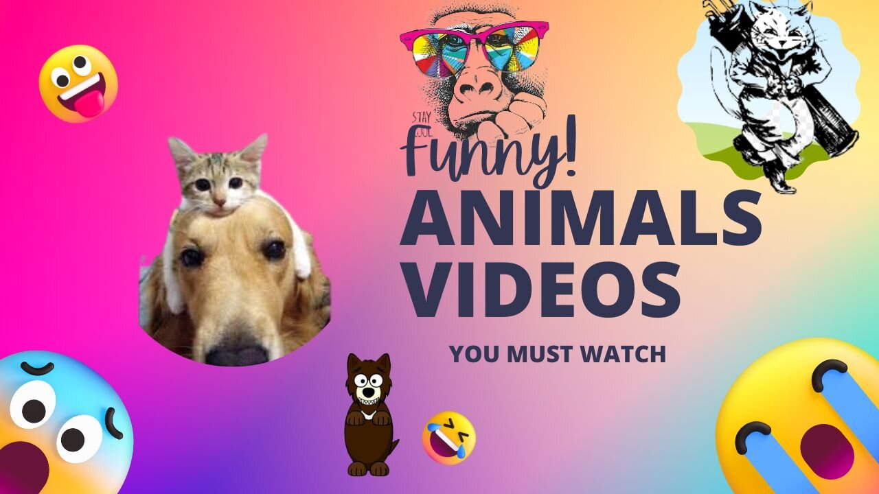 Animals Crazy Moments | Episode 070