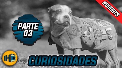 Stubby: O Cão Herói e Sargento da Primeira Guerra #shorts #short #curiosidades #pets #historia #dog