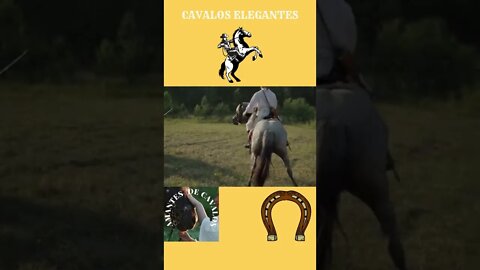 CAVALOS ELEGANTES