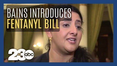 Jasmeet Bains introduces bill to combat fentanyl crisis minutes after being sworn in