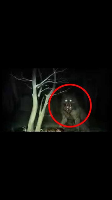 Did you know werewolfs exist#conspiracy #theory #story #vampire #creature #werewolf