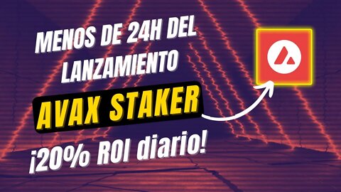 AVAX STAKER español 🤑🤑 gana 20% APR diario