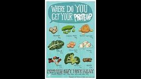 Dude where do you get your protein