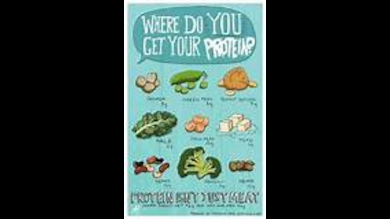 Dude where do you get your protein