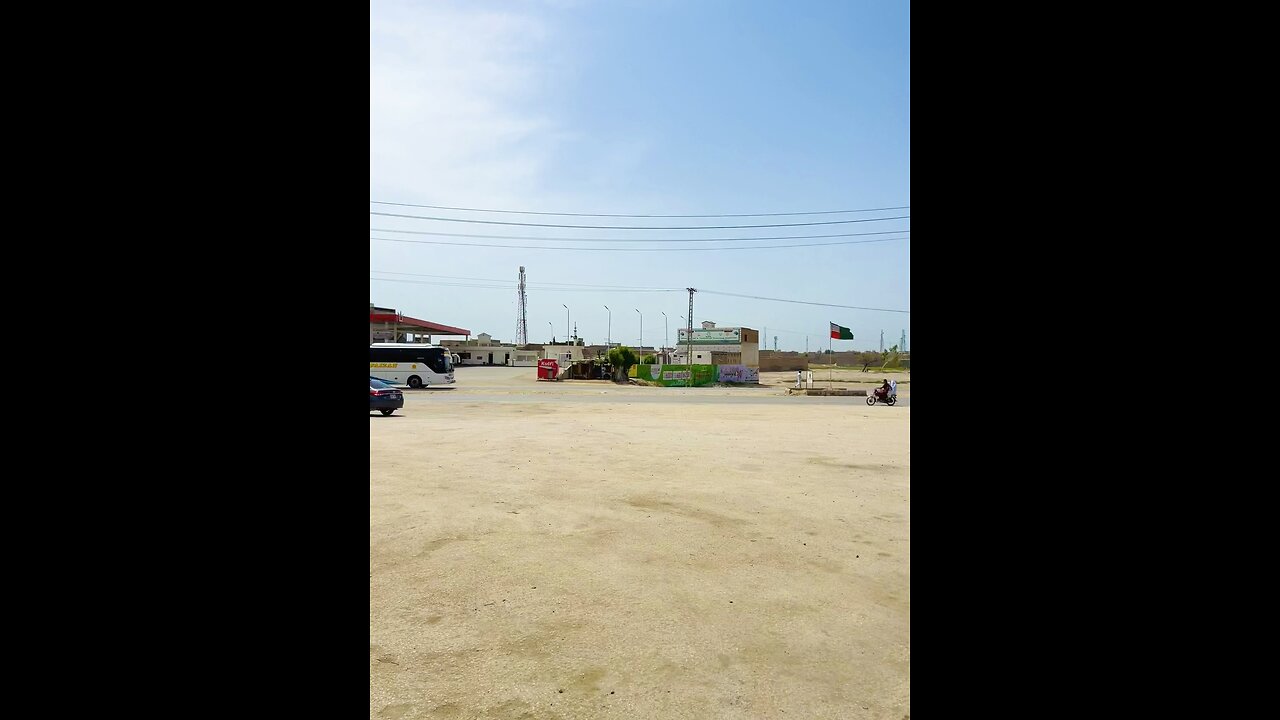 Pigeon flying on highway road