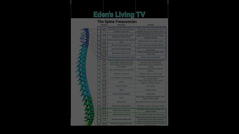 What are Spinal frequencies