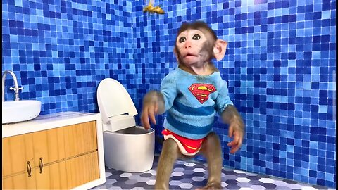 Monkey Baby Bon Bon oes to the toilet and plays with Ducklings in the swimming pool