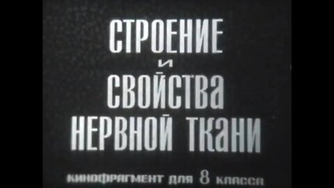 Строение и свойства нервной ткани. Кинофрагмент для 8 класса.