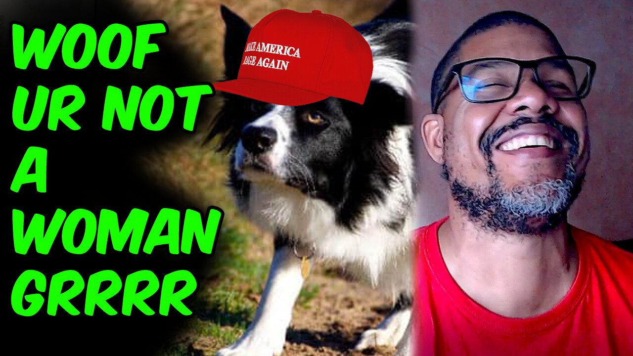 IS MY DOG TRANSPHOBIC??