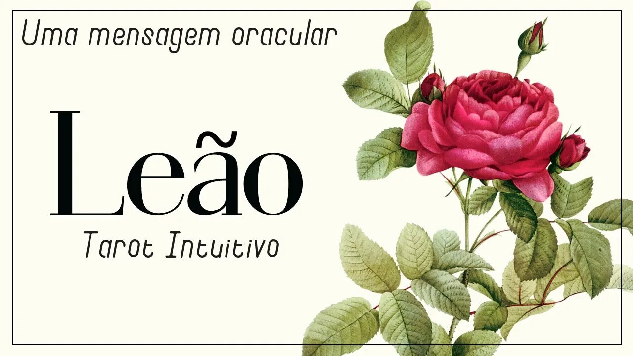 ♌ LEÃO | UMA QUEBRA DE VÍNCULO COM UM FAMILIAR GERA INDEPENDÊNCIA ✴︎TAROT INTUITIVO✴︎