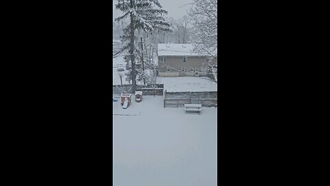 Estamos en un estado de emergencia en Massachusetts todo esta cerrado