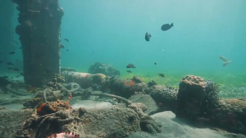 Iron pipes and underwater pilings in the ocean inhabited by corals. artificial reef