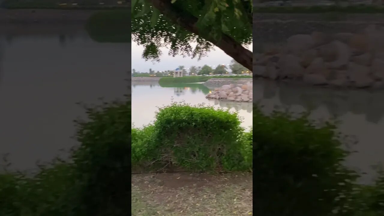 Nature