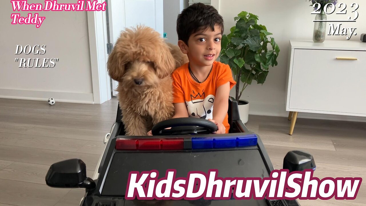 When Dhruvil Met "Teddy" the dog