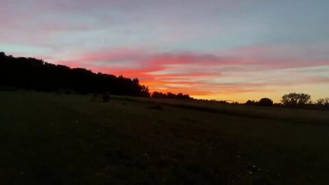 Just chilling in the field