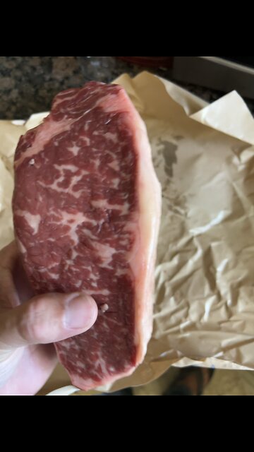 The Traveler’s DUST