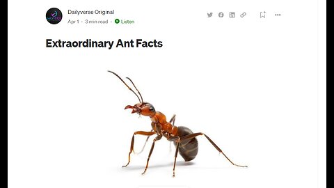 Extraordinary Facts about ants