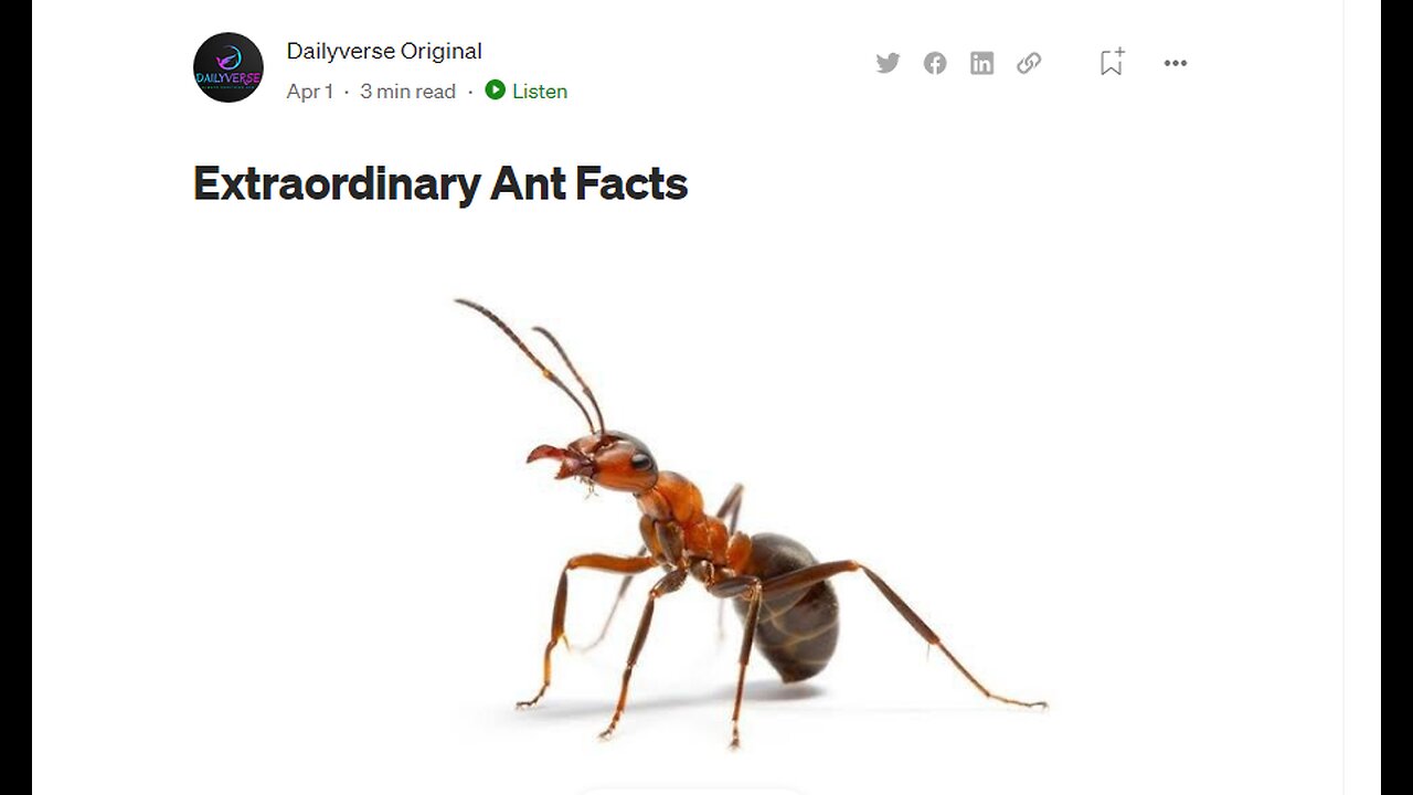 Extraordinary Facts about ants