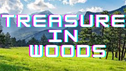 Treasure In Woods