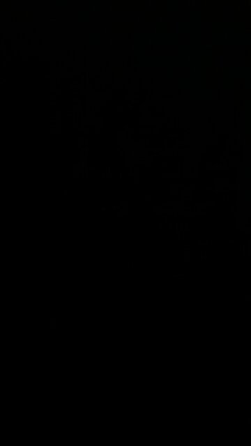 Horse was lean and lank