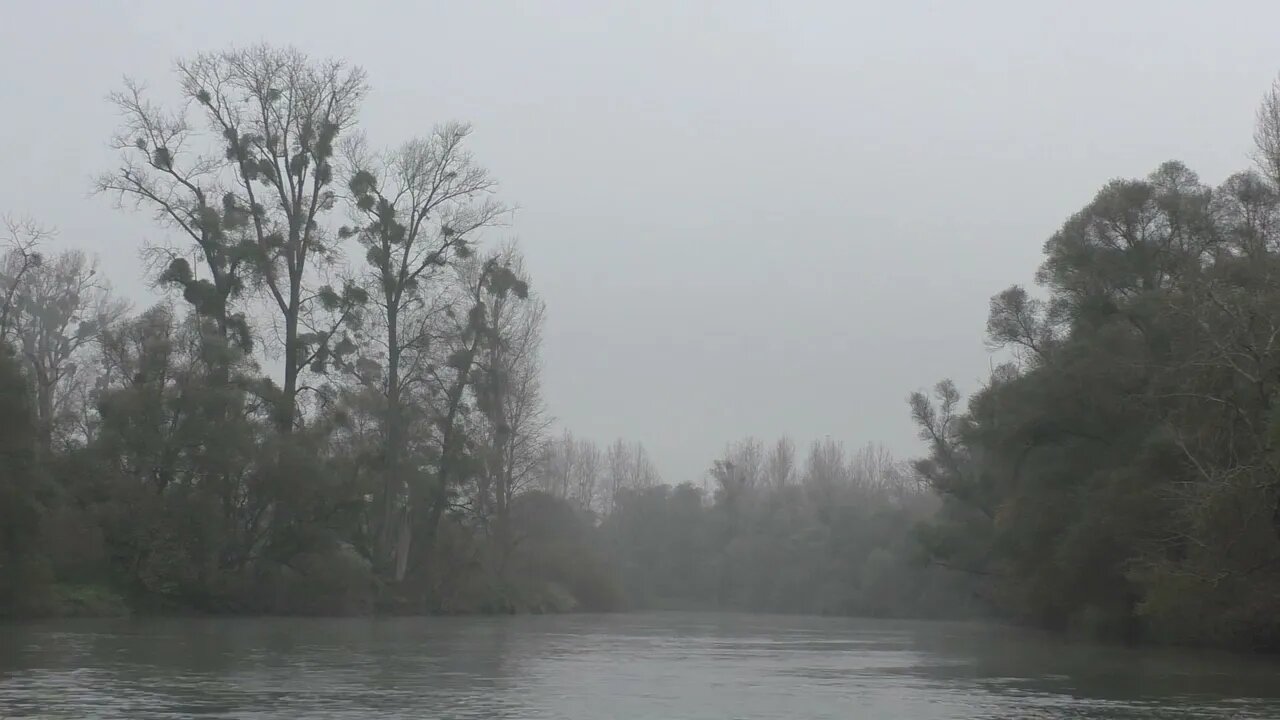 SOM DE CHUVA - FLORESTA E NEBLINA