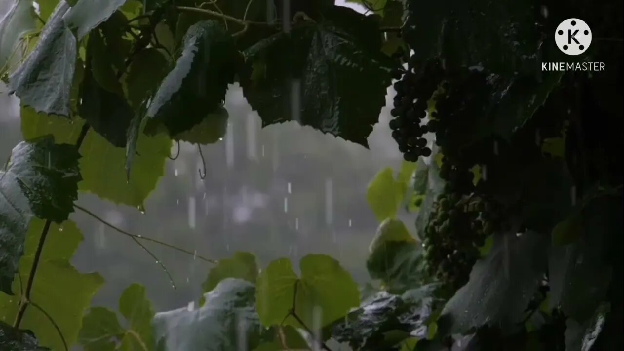 Som de chuva para relaxar e dormir