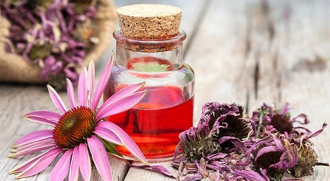 4 MOST POWERFUL Natural Remedies to Boost Your Immune System