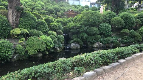 Nezu Jinja Japan