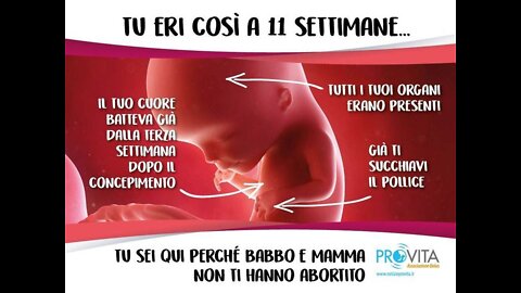 ABORTO - SENTENZA USA Monsignor Carlo Maria Viganò