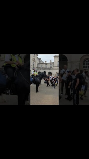 Tourist stroke police horses #horseguardsparade