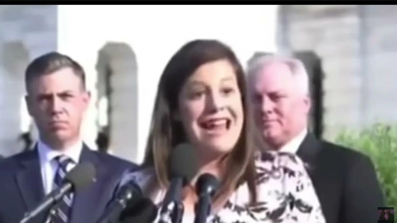Pelosi being wrecked compilation!