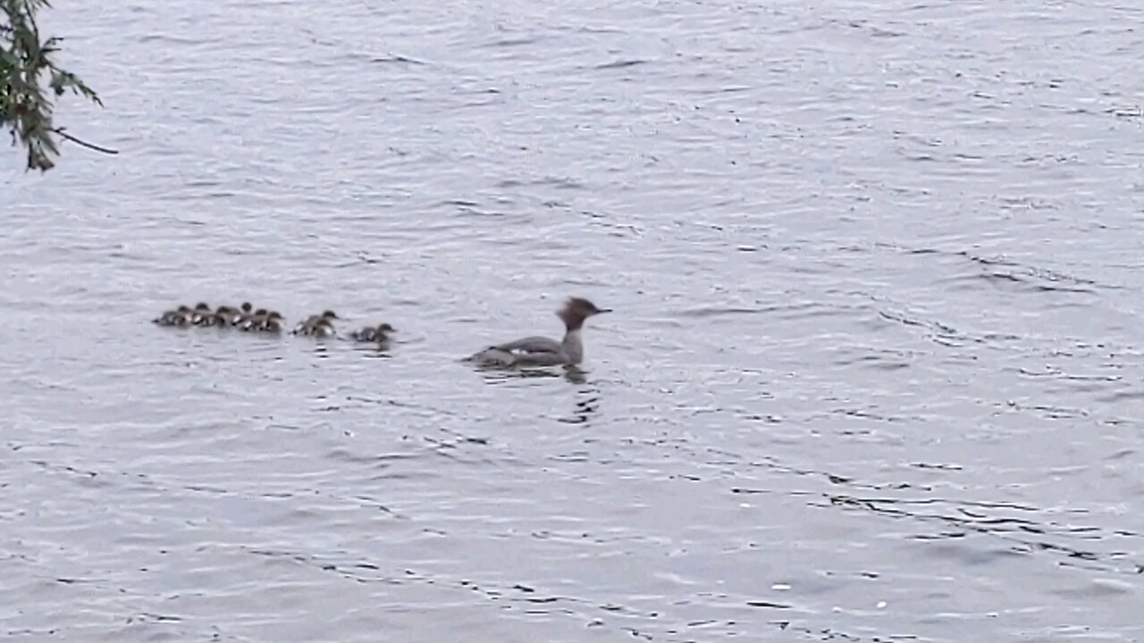 mom with her babies