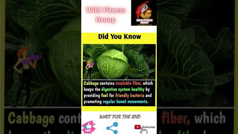 🔥Benefits of cabbage🔥#shorts🔥#wildfitnessgroup🔥23 May 2022🔥