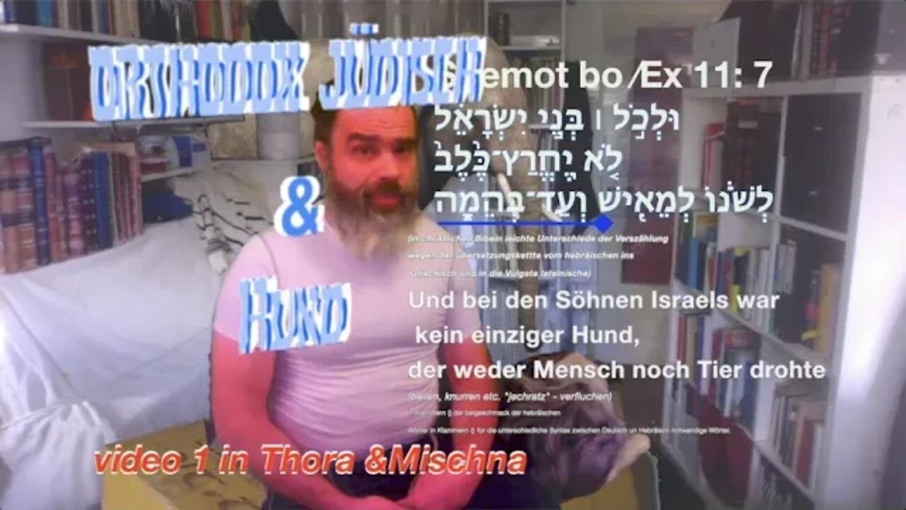 Hundehaltung Koscher-Guide 1/3