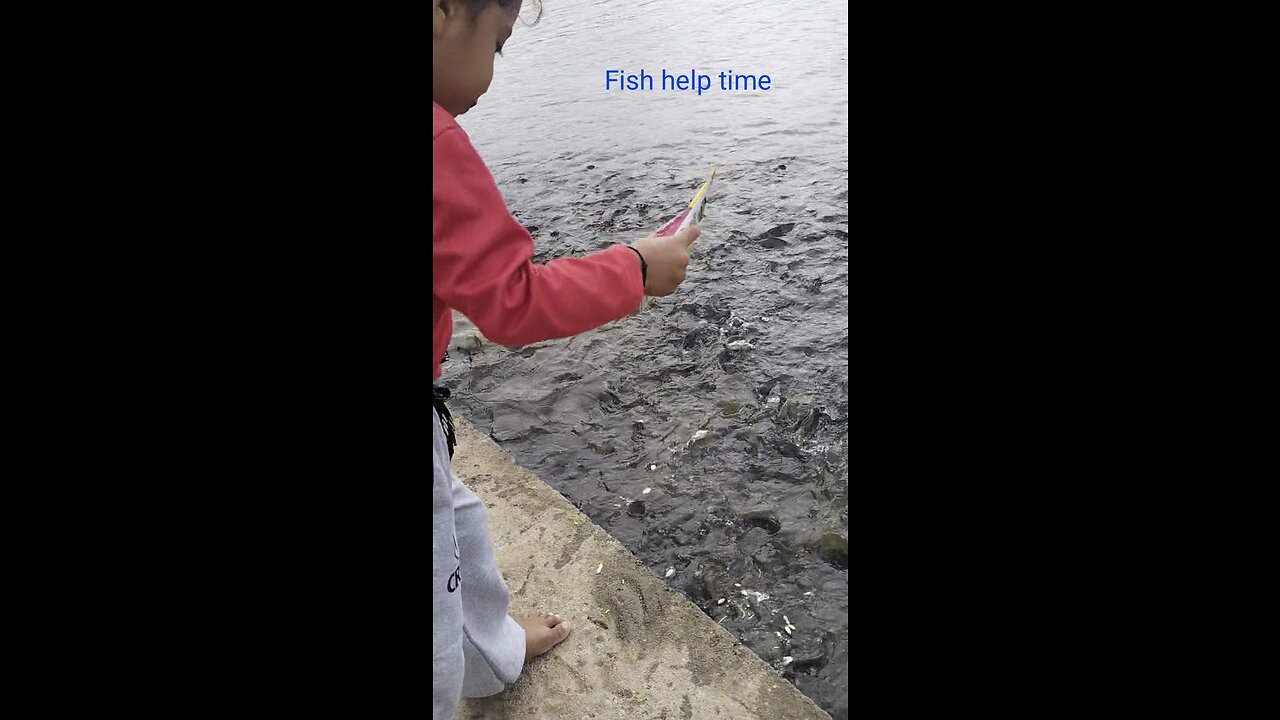 Me and my boy help the fish