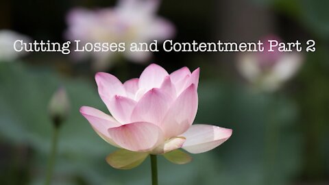 Cutting Losses and Contentment Part 2
