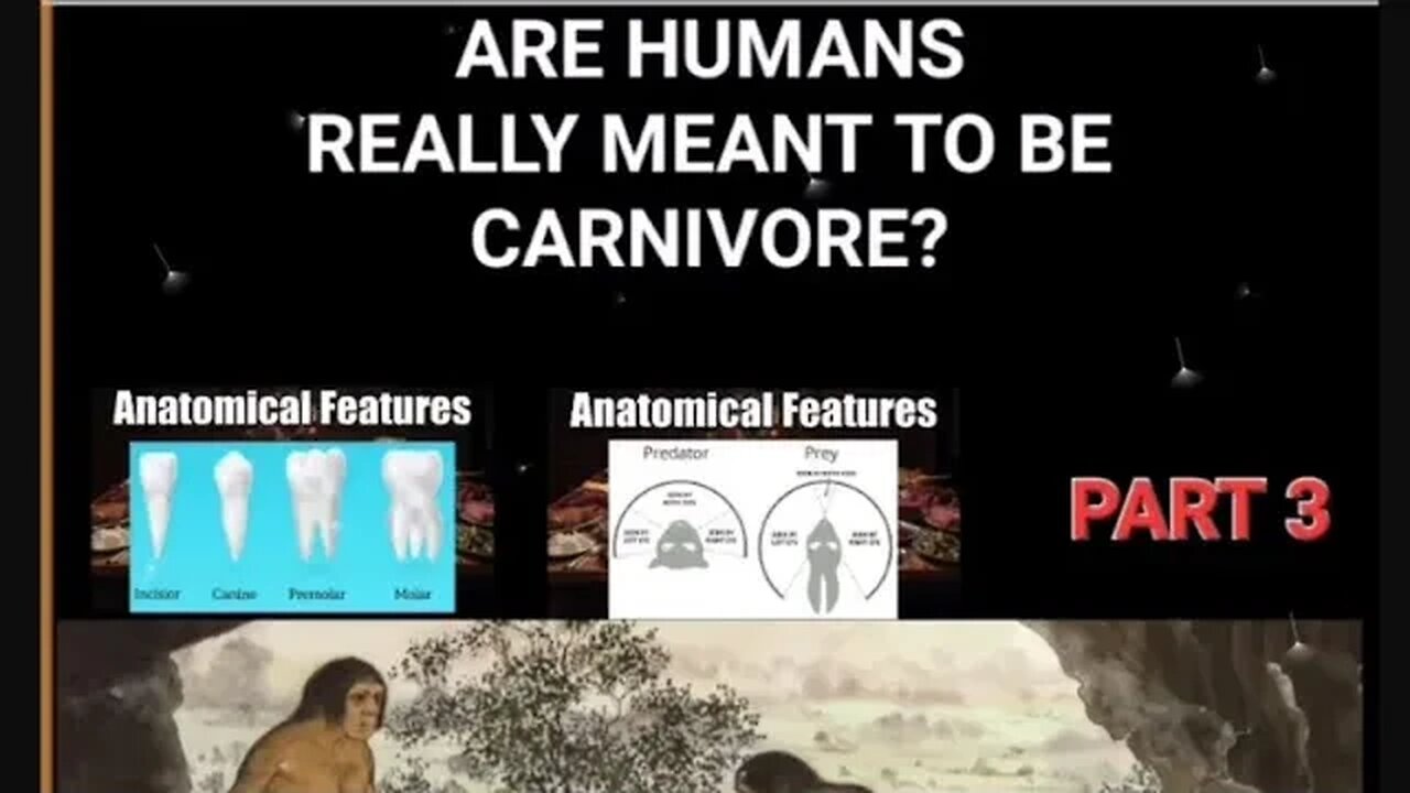 Are human's really meant to be carnivore | part 3