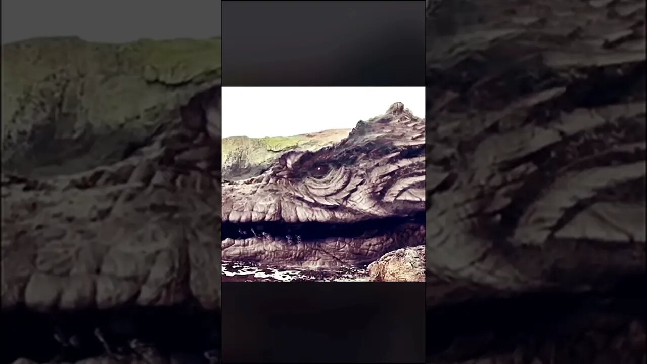 Petrified Dragon? Oregon @sibs_on_insta