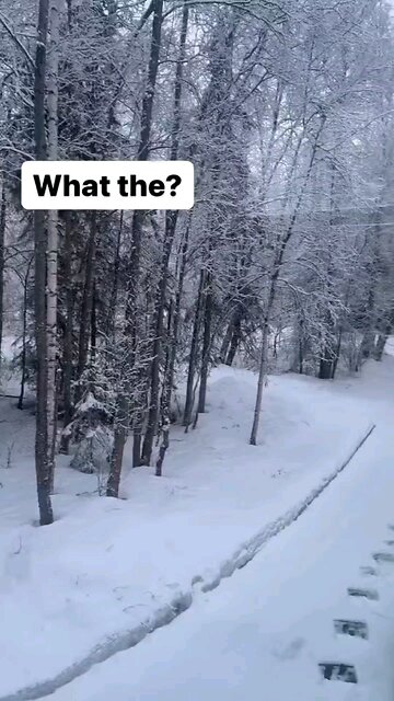 Sandals In The Snow😄😆