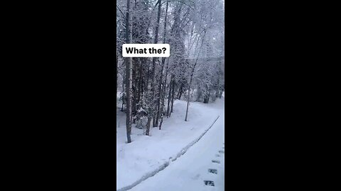 Sandals In The Snow😄😆