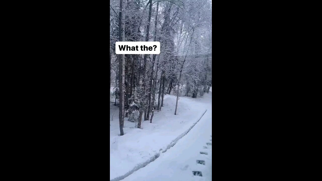 Sandals In The Snow😄😆