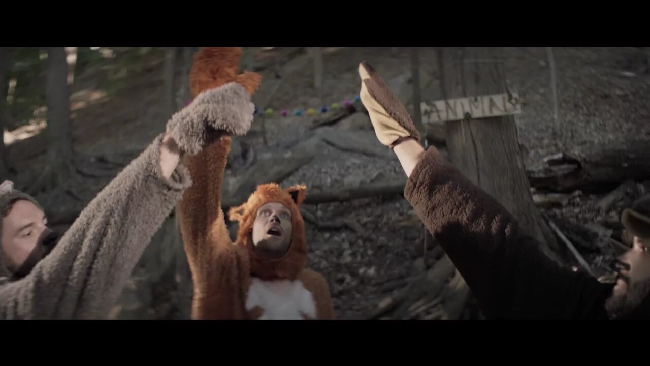 ANIMALS