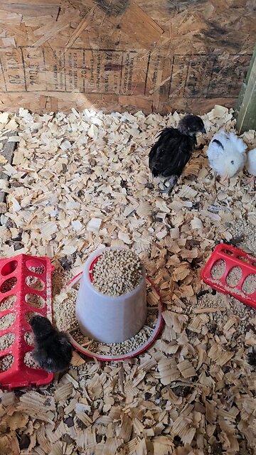 Enjoying the new space