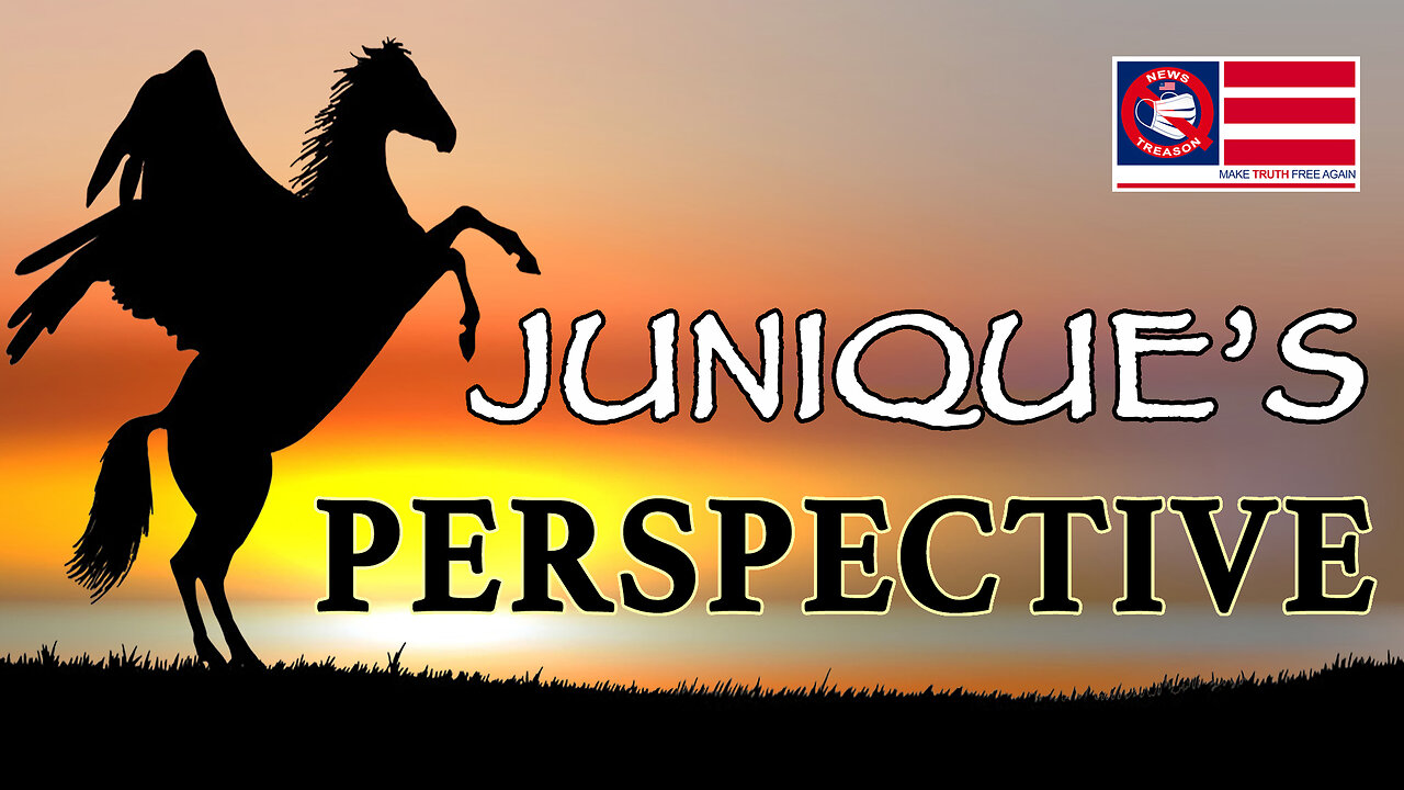 Junique’s Perspective #5 "The Suppression of Tesla... And Humanity"