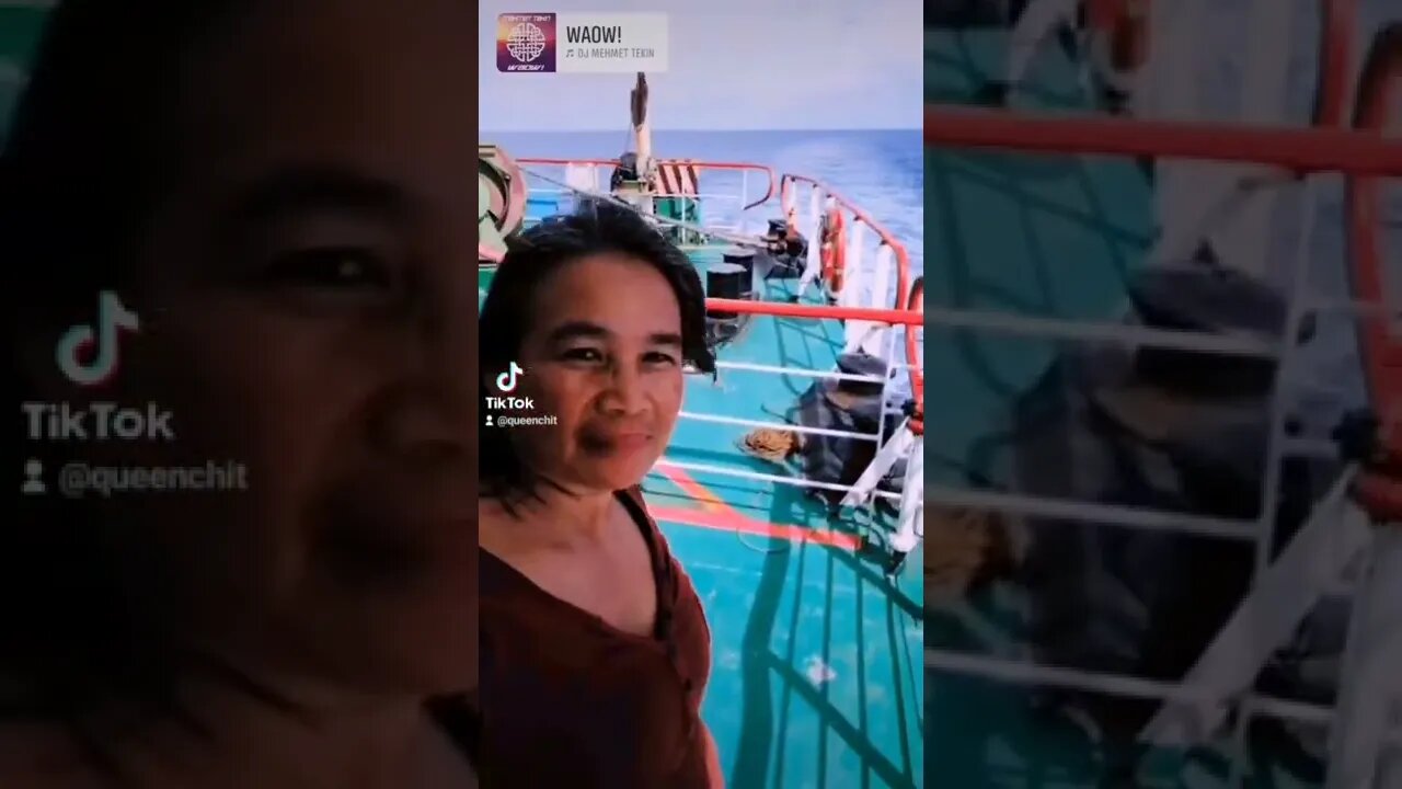 Roro overviewing the sea